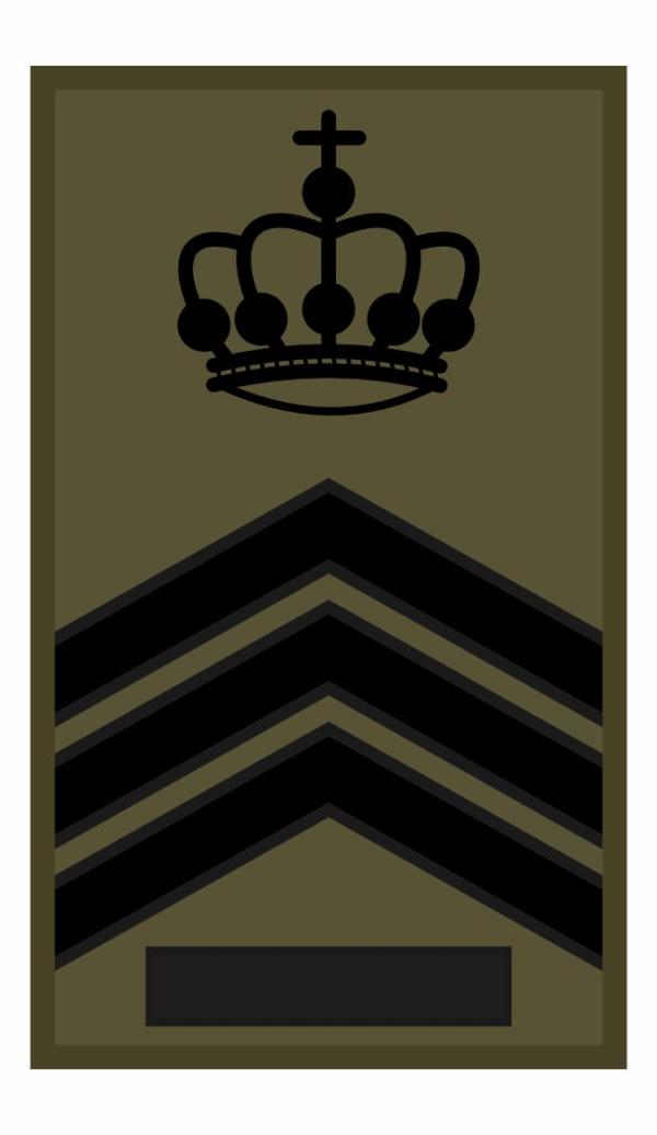 ROT Badge Klu SGT1 Instr